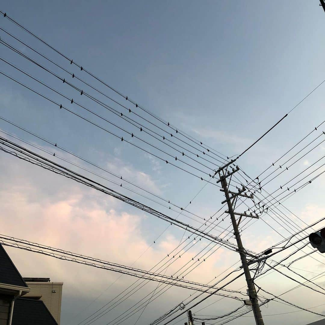 齊藤このみさんのインスタグラム写真 - (齊藤このみInstagram)「鳥かと思ったら、鳥じゃない。  たくさん止まってるからやだなーと思ったら、鳥じゃない。  こういうなんか安全かなんかの対策のなんかだった。  紛らわしい。  それでも見上げた空は綺麗だった。  #24時間テレビ  #愛三文化会館 にお越しいただいた皆様 ありがとうございました😄  皆様のおかげです！ 楽しかった〜！ 人と人というテーマがぴったんこでした🤗🤗🤗 最後の処方箋コール最高でした。  #スギ薬局 のCMは引き続き流れます、流していただいてます。  処方箋は！ スギ薬局へ！！！ あー、楽しい夏が過ぎて行く〜🥺 おセンチメンタル🥺」8月25日 19時00分 - konosuke1006