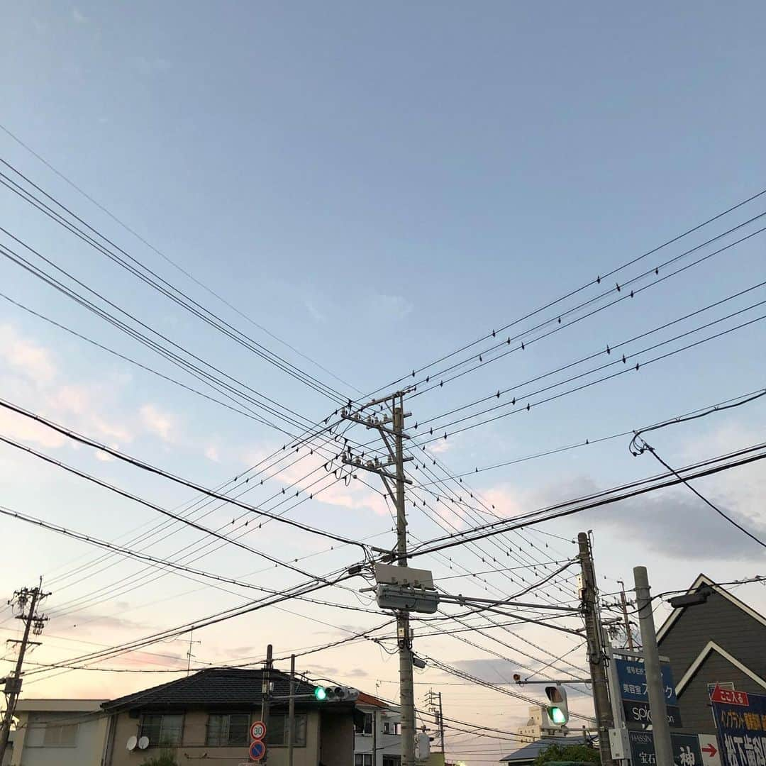 齊藤このみさんのインスタグラム写真 - (齊藤このみInstagram)「鳥かと思ったら、鳥じゃない。  たくさん止まってるからやだなーと思ったら、鳥じゃない。  こういうなんか安全かなんかの対策のなんかだった。  紛らわしい。  それでも見上げた空は綺麗だった。  #24時間テレビ  #愛三文化会館 にお越しいただいた皆様 ありがとうございました😄  皆様のおかげです！ 楽しかった〜！ 人と人というテーマがぴったんこでした🤗🤗🤗 最後の処方箋コール最高でした。  #スギ薬局 のCMは引き続き流れます、流していただいてます。  処方箋は！ スギ薬局へ！！！ あー、楽しい夏が過ぎて行く〜🥺 おセンチメンタル🥺」8月25日 19時00分 - konosuke1006