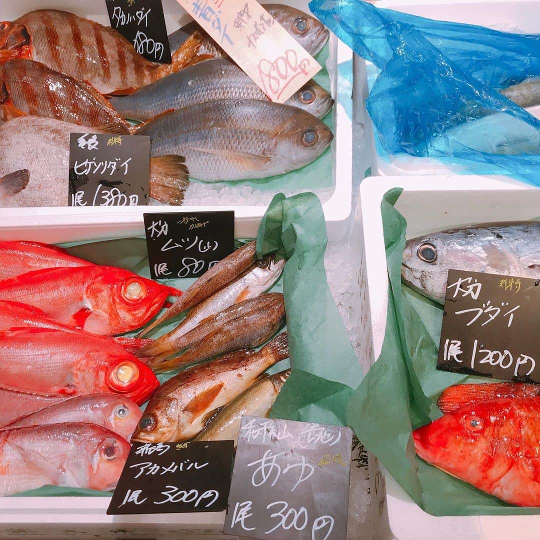 本間昭光のインスタグラム：「魚屋巡り大好き」