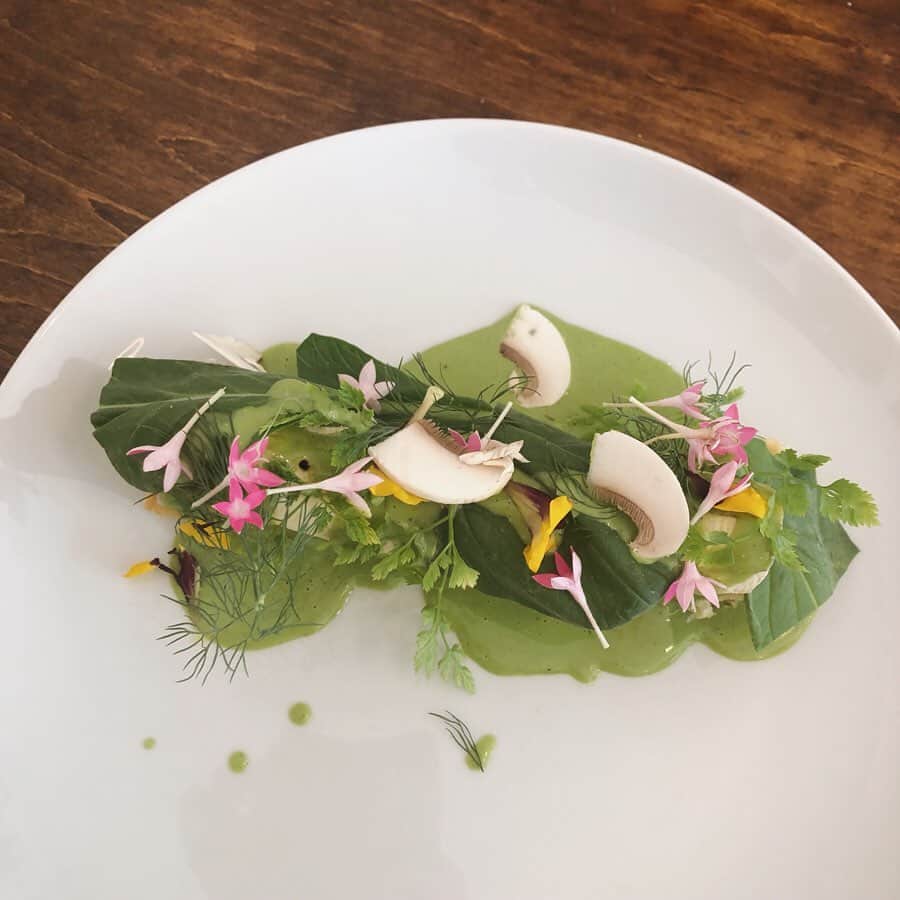 村田倫子のグルメインスタ