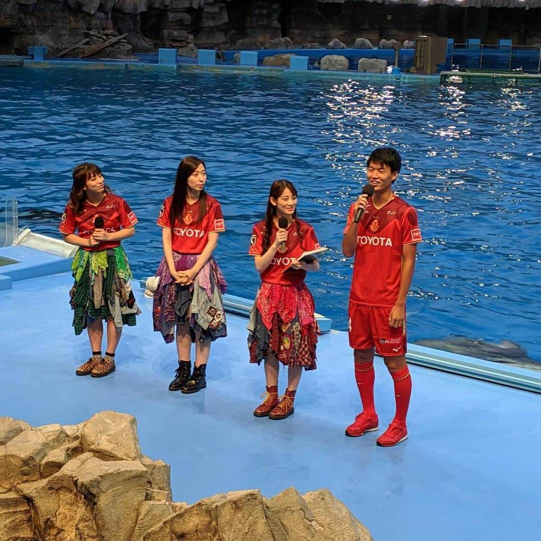 名古屋グランパスさんのインスタグラム写真 - (名古屋グランパスInstagram)「#名古屋港水族館 #grampus タイアップ企画✨🐬 「#シャチに夢中」トークショー #藤井陽也 #TEAMSHACHI #秋本帆華 #大黒柚姫 #坂本遥奈」8月25日 20時44分 - nagoyagrampus