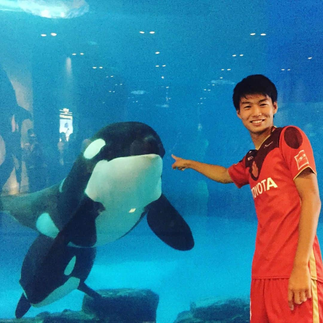 名古屋グランパスさんのインスタグラム写真 - (名古屋グランパスInstagram)「#名古屋港水族館 #grampus タイアップ企画✨🐬 「#シャチに夢中」トークショー #藤井陽也 #TEAMSHACHI #秋本帆華 #大黒柚姫 #坂本遥奈」8月25日 20時44分 - nagoyagrampus