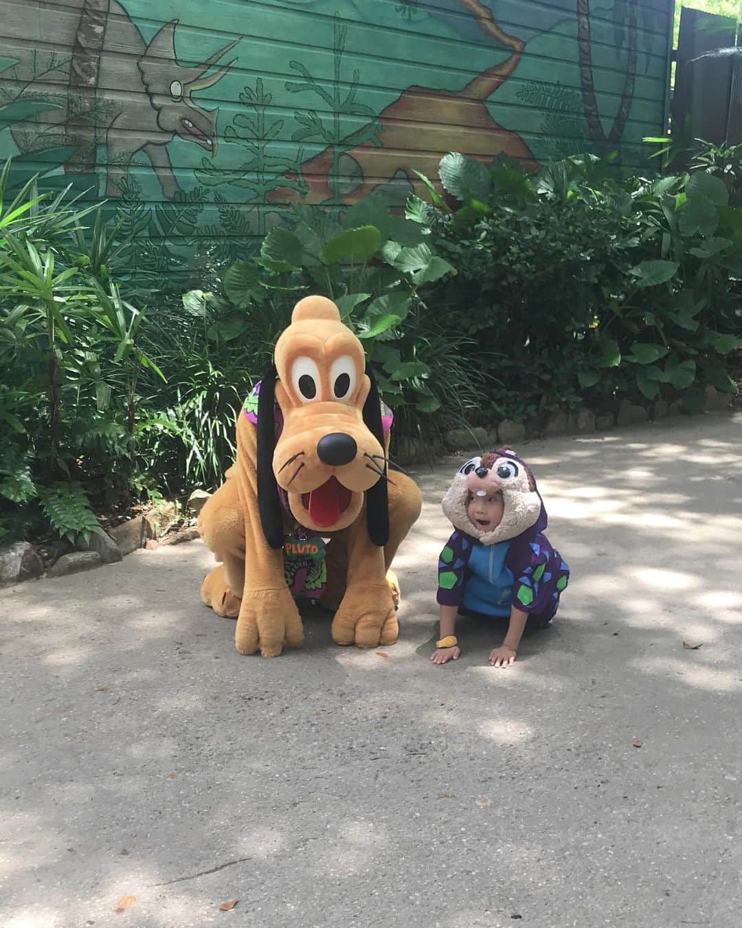 tiahy__さんのインスタグラム写真 - (tiahy__Instagram)「Dino Land. . . . 2人とも恐竜になりきる姿がなんとも仲良しです♡🦕🦖. . . #chip_taia #wdw#Dinoland#waltdisneyworld#animalkingdom#taiacostume#disney#disneybaby#disneykids#disneyfamily#pluto」8月25日 21時06分 - tiahy__disney