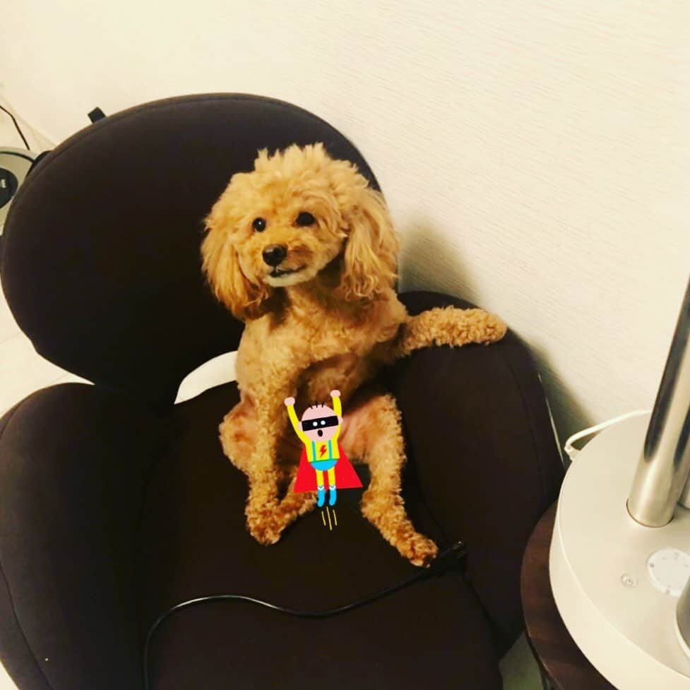 のインスタグラム：「ははははは😁あんちゃん最高💖笑  #達観 ＃ショッピング番組で紹介した#マッサージ機#今は#あんちゃん専用」