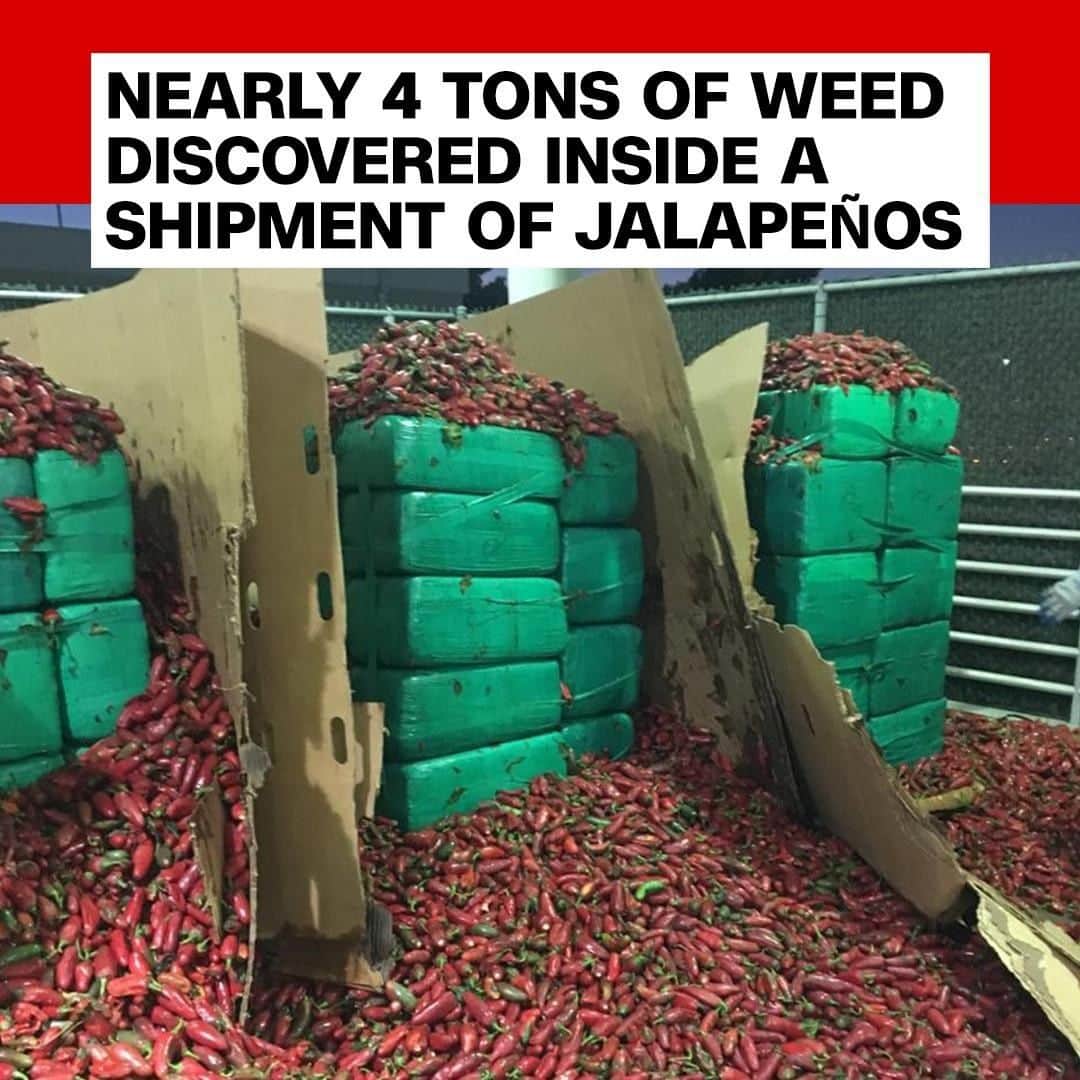 CNNさんのインスタグラム写真 - (CNNInstagram)「A shipment of jalapeños from Mexico to the US delivered more than just a spicy kick when it arrived in California on Thursday. Border Patrol agents found nearly 4 tons of marijuana—worth an estimated $2.3 million—hidden in the cargo. (📸: US Customs and Border Protection)」8月25日 21時18分 - cnn