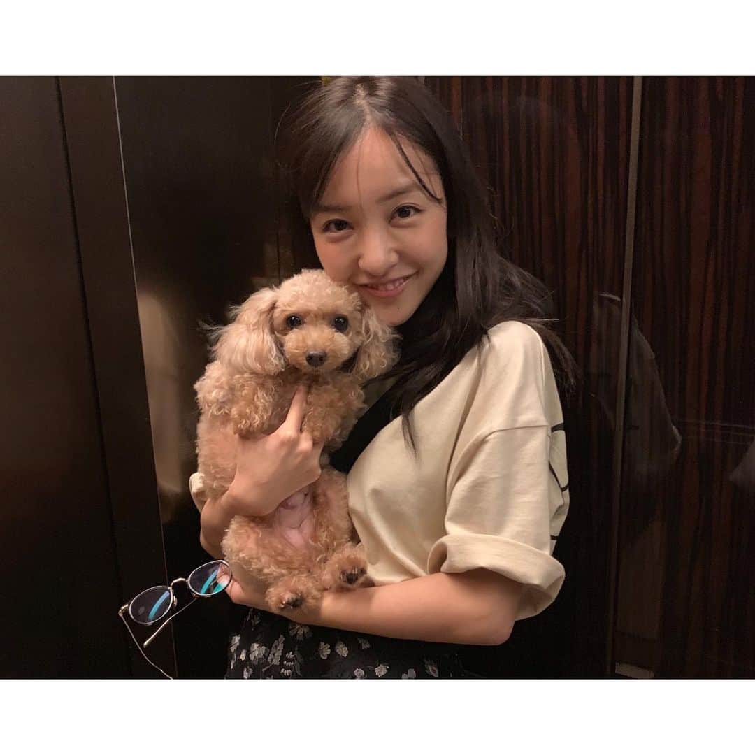 板野友美さんのインスタグラム写真 - (板野友美Instagram)「coco🐶❤️ #実家犬 #coco」8月25日 21時23分 - tomo.i_0703