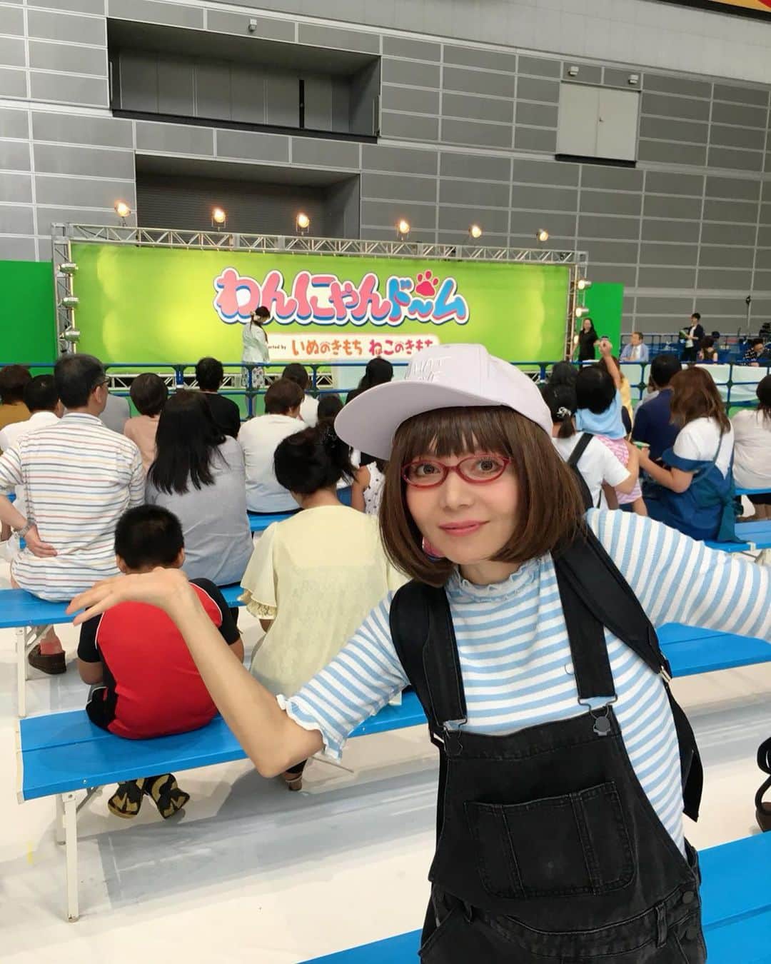 木部さんさんのインスタグラム写真 - (木部さんInstagram)「わんにゃんドームの会場では、トリマーさんや動物と関わる勉強をしている生徒さん達がボランティアでお手伝いをしていて、お会いした時に皆さんが暖かく接して下さいました💓🤓 . . お友達同士仲が良くて、時に女子高生の様なノリで楽しかったです🎶😆 猫ちゃんと遊んだりしながら、お話もしましたね♬✨ 動物が好きな皆さんの優しさと猫ちゃん達に癒されました🌼😊 . .  きべに会いに駆けつけて下さった生徒さんも、どうもありがとうございました！！！m(_ _)m✨✨✨ . .  皆さんのお見送りも嬉しかったです🌼✨✨ . .  素敵な思い出をどうもありがとうございました！！！🐶😸💓 . . . . #わんにゃんドーム2019 #ボランティアの学生さん達 #ありがとう❤️ #感謝 #楽しい思い出 #わんちゃん #猫ちゃん #dogsandcats #event #thankyou #happymemories」8月25日 22時06分 - kibe_dayo