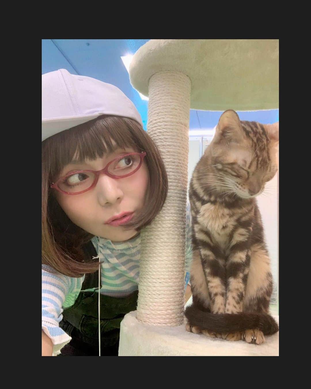 木部さんさんのインスタグラム写真 - (木部さんInstagram)「わんにゃんドームの会場では、トリマーさんや動物と関わる勉強をしている生徒さん達がボランティアでお手伝いをしていて、お会いした時に皆さんが暖かく接して下さいました💓🤓 . . お友達同士仲が良くて、時に女子高生の様なノリで楽しかったです🎶😆 猫ちゃんと遊んだりしながら、お話もしましたね♬✨ 動物が好きな皆さんの優しさと猫ちゃん達に癒されました🌼😊 . .  きべに会いに駆けつけて下さった生徒さんも、どうもありがとうございました！！！m(_ _)m✨✨✨ . .  皆さんのお見送りも嬉しかったです🌼✨✨ . .  素敵な思い出をどうもありがとうございました！！！🐶😸💓 . . . . #わんにゃんドーム2019 #ボランティアの学生さん達 #ありがとう❤️ #感謝 #楽しい思い出 #わんちゃん #猫ちゃん #dogsandcats #event #thankyou #happymemories」8月25日 22時06分 - kibe_dayo