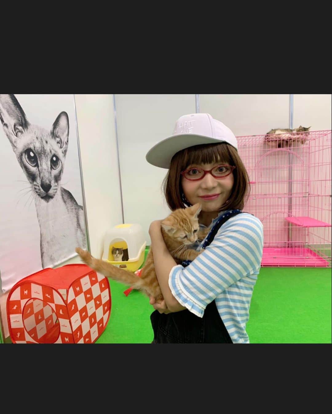 木部さんさんのインスタグラム写真 - (木部さんInstagram)「わんにゃんドームの会場では、トリマーさんや動物と関わる勉強をしている生徒さん達がボランティアでお手伝いをしていて、お会いした時に皆さんが暖かく接して下さいました💓🤓 . . お友達同士仲が良くて、時に女子高生の様なノリで楽しかったです🎶😆 猫ちゃんと遊んだりしながら、お話もしましたね♬✨ 動物が好きな皆さんの優しさと猫ちゃん達に癒されました🌼😊 . .  きべに会いに駆けつけて下さった生徒さんも、どうもありがとうございました！！！m(_ _)m✨✨✨ . .  皆さんのお見送りも嬉しかったです🌼✨✨ . .  素敵な思い出をどうもありがとうございました！！！🐶😸💓 . . . . #わんにゃんドーム2019 #ボランティアの学生さん達 #ありがとう❤️ #感謝 #楽しい思い出 #わんちゃん #猫ちゃん #dogsandcats #event #thankyou #happymemories」8月25日 22時06分 - kibe_dayo