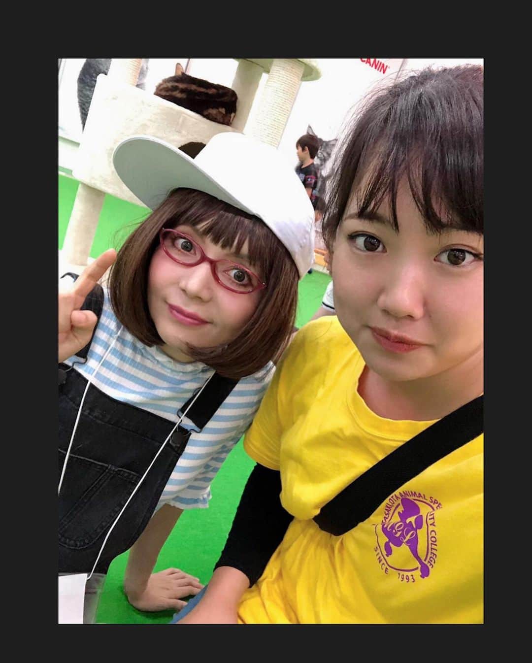 木部さんさんのインスタグラム写真 - (木部さんInstagram)「わんにゃんドームの会場では、トリマーさんや動物と関わる勉強をしている生徒さん達がボランティアでお手伝いをしていて、お会いした時に皆さんが暖かく接して下さいました💓🤓 . . お友達同士仲が良くて、時に女子高生の様なノリで楽しかったです🎶😆 猫ちゃんと遊んだりしながら、お話もしましたね♬✨ 動物が好きな皆さんの優しさと猫ちゃん達に癒されました🌼😊 . .  きべに会いに駆けつけて下さった生徒さんも、どうもありがとうございました！！！m(_ _)m✨✨✨ . .  皆さんのお見送りも嬉しかったです🌼✨✨ . .  素敵な思い出をどうもありがとうございました！！！🐶😸💓 . . . . #わんにゃんドーム2019 #ボランティアの学生さん達 #ありがとう❤️ #感謝 #楽しい思い出 #わんちゃん #猫ちゃん #dogsandcats #event #thankyou #happymemories」8月25日 22時06分 - kibe_dayo