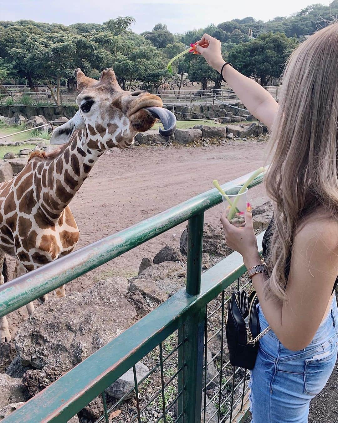 田村月光（ツッキー）さんのインスタグラム写真 - (田村月光（ツッキー）Instagram)「. SHIZUOKA🦓❤️ 念願の動物園!!思ったより遠すぎて日帰り旅行みたいになった（笑） アニマルキングダム行って帰りに大好きないくら食べた〜🤤❤️ 最高だ〜〜〜〜 運転ご苦労様でしたｯ!!⸜❤︎⸝‍」8月25日 22時14分 - tsu02ki