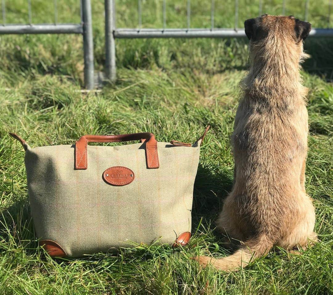 ジョンチャップマンのインスタグラム：「Ted the terrier enjoying his day out at the Cheshire game and country show. What are you doing with your Chapman today? #nationaldogday」