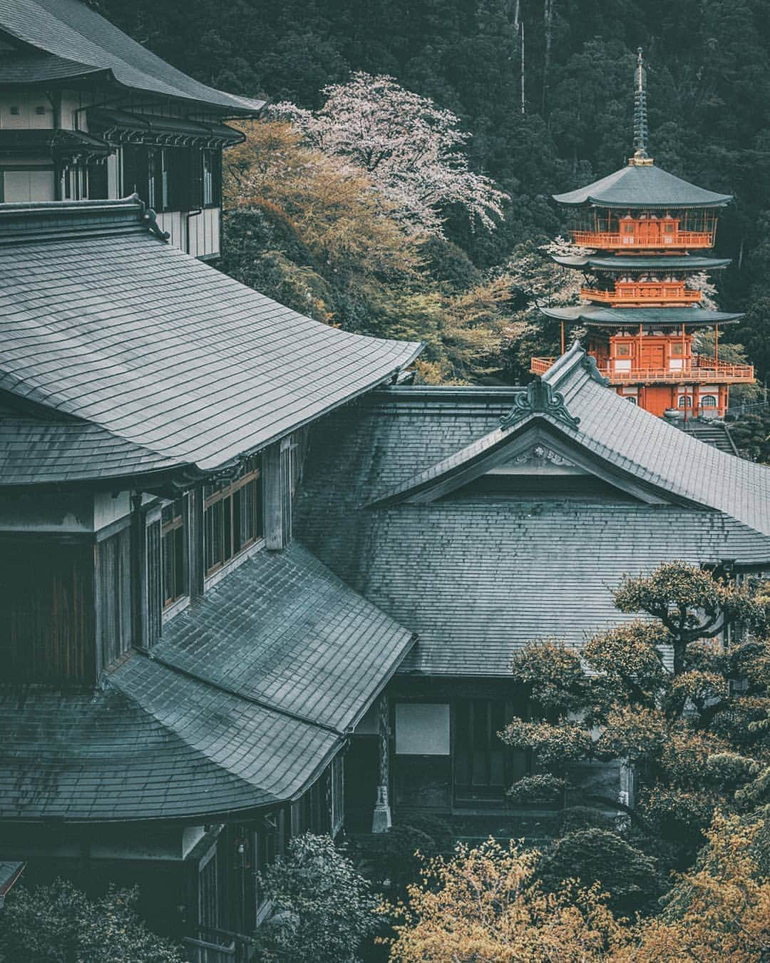 Berlin Tokyoさんのインスタグラム写真 - (Berlin TokyoInstagram)「Nothing but serenity lies in this secluded hideaway backed by the sacred waterfall. . . . #hellofrom nachi waterfall #japan」8月25日 22時22分 - tokio_kid