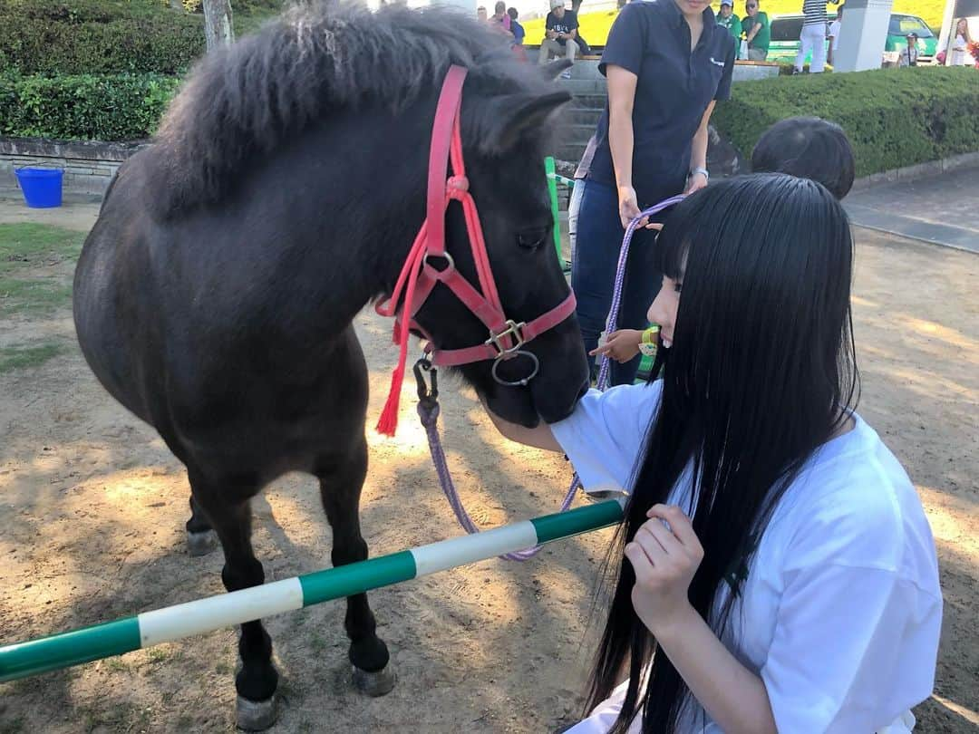 北川愛乃さんのインスタグラム写真 - (北川愛乃Instagram)「こんばんわぁ✨  今日、参加させて頂いた #FC岐阜 試合セレモニーでは #ミニチュアホースふれあい と言うイベントも させて頂きました🐴💕 ‘あいちゃん’可愛すぎて めーーーちゃっ癒されましたぁー❤️ もっと触りたかったなぁ☺️ #ske48 #ミニチュアホース  #ふれあい  #かわいい」8月25日 22時44分 - kitagawayoshino