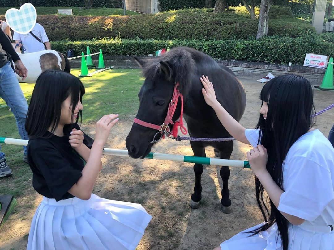 北川愛乃さんのインスタグラム写真 - (北川愛乃Instagram)「こんばんわぁ✨  今日、参加させて頂いた #FC岐阜 試合セレモニーでは #ミニチュアホースふれあい と言うイベントも させて頂きました🐴💕 ‘あいちゃん’可愛すぎて めーーーちゃっ癒されましたぁー❤️ もっと触りたかったなぁ☺️ #ske48 #ミニチュアホース  #ふれあい  #かわいい」8月25日 22時44分 - kitagawayoshino