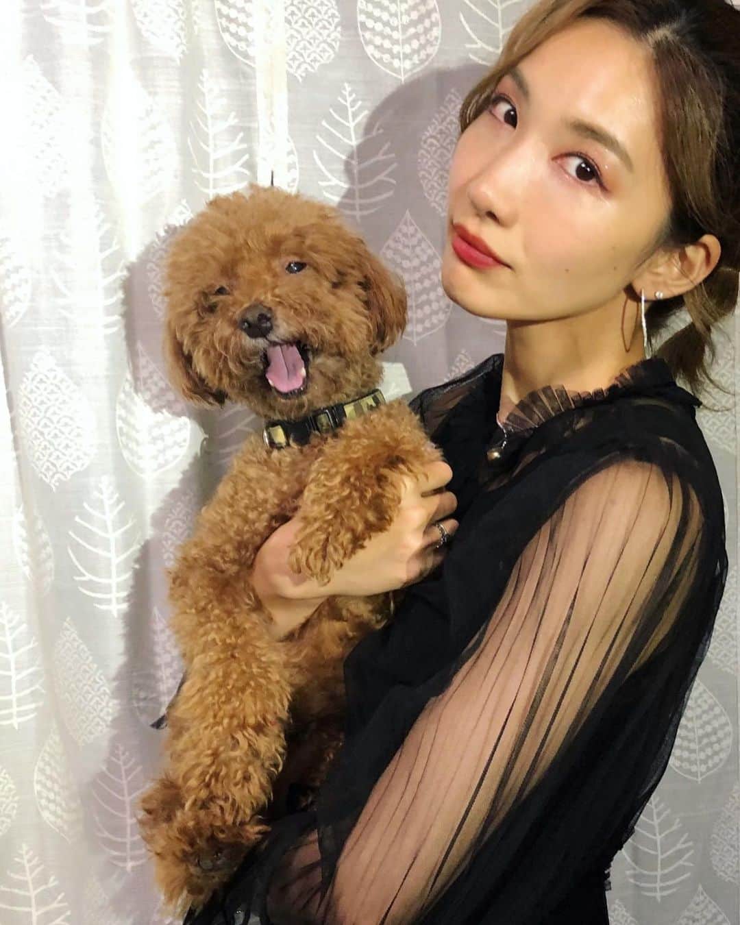中嶋イッキュウのインスタグラム：「The dog」
