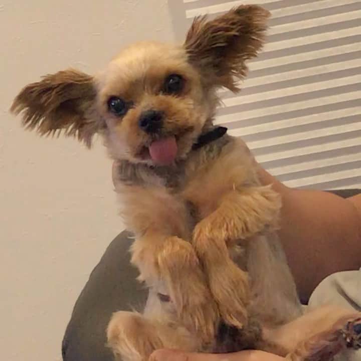 のインスタグラム：「お姉ちゃんお誕生日おめでとう〜ペロペロわんわん🐶💘✌️✌️」