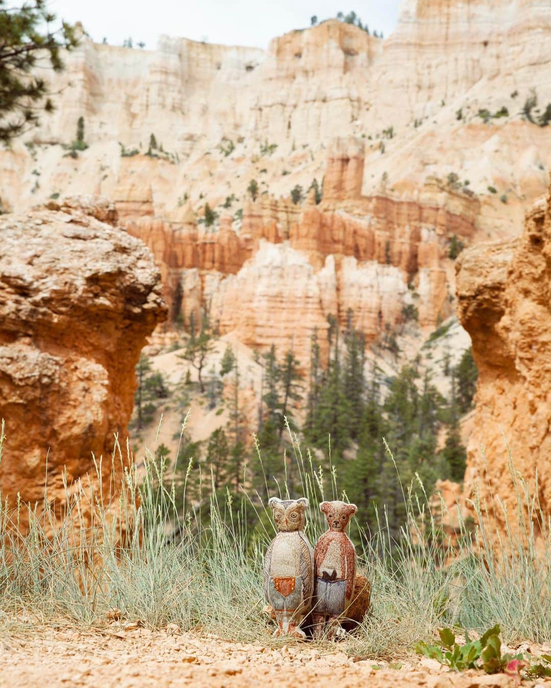 コーラル アンド タスクさんのインスタグラム写真 - (コーラル アンド タスクInstagram)「Happy Birthday @nationalparkservice! Here’s to 103 years of protected public lands and wilderness! The parks system has provided so much inspiration (and recreation!) to us over the years and are essential to the health and wellbeing of our regional ecosystems. Today we would like to share these words from President @barackobama back in 2016, the centennial year for the NPS: “I still remember traveling up to Yellowstone National Park, coming over a hill, and suddenly seeing just hundreds of deer and bison for the very first time. That new scenery gave me a sense of just how immense, how diverse, and how important the vast array of wildlife is to understanding and appreciating the world and our place in it. That’s something I wanted my daughters to understand when I brought them back to the very same spot at Yellowstone a few years ago. It’s something I want to preserve for our kids, grandkids, and generations to come." 🧡🏜🌵🏕🏔☀️#nps103 #findyourpark #nationalparkservice #coralandtusk」8月25日 23時04分 - coralandtusk