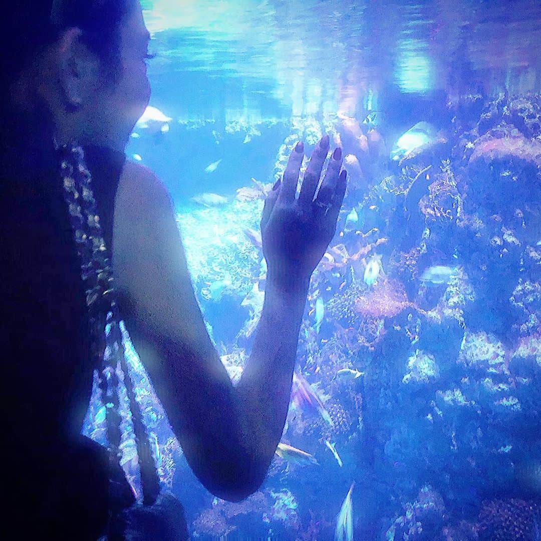 鈴木絢子のグルメインスタ