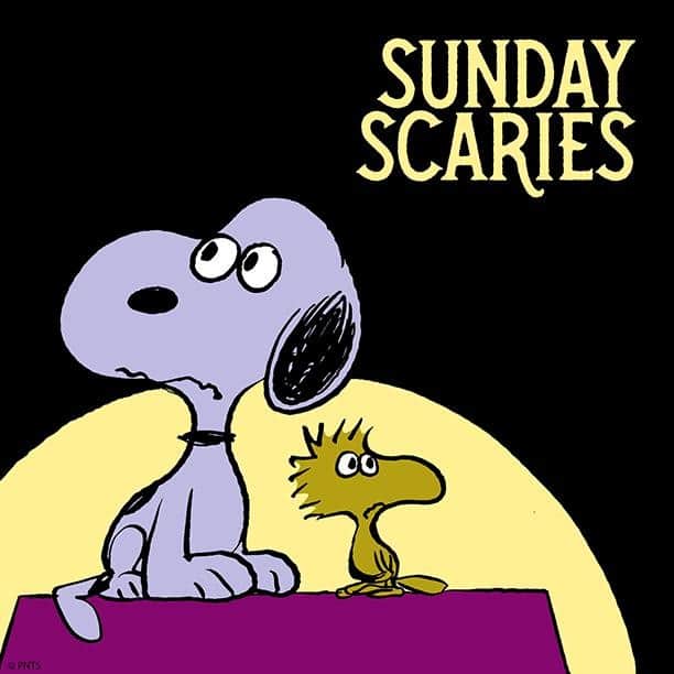 スヌーピーさんのインスタグラム写真 - (スヌーピーInstagram)「The anxiety is setting in. #SundayScaries」8月25日 23時19分 - snoopygrams