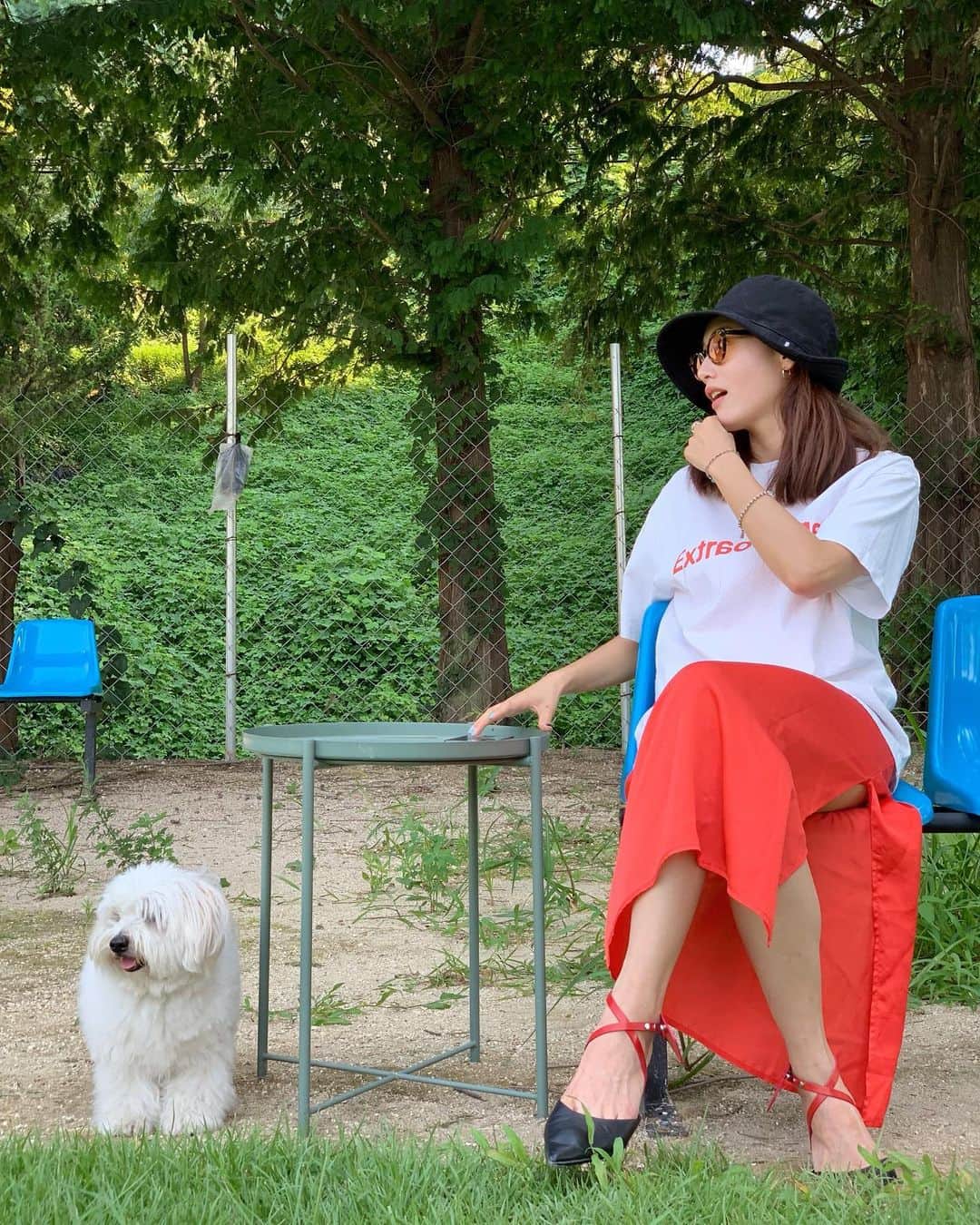 キム・ジェギョン さんのインスタグラム写真 - (キム・ジェギョン Instagram)「오늘은 마카롱이랑 데이트🐶🌿」8月25日 23時15分 - _kimjaekyung_