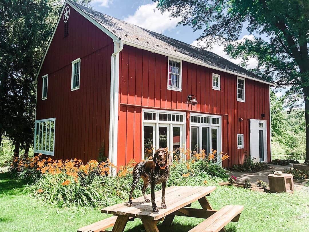 Airbnbさんのインスタグラム写真 - (AirbnbInstagram)「If Gatsby the farm dog doesn’t greet you, local chocolates and fresh eggs will. Jen’s house on a 100-acre working farm makes for a welcoming introduction to Pennsylvania Dutch Country. Head into town to try the namesake dish at the Tomato Pie Café or just hang out with Gatsby and wait for the fireflies to come out.  Photo: @hopelandfarmlititz」8月25日 23時36分 - airbnb