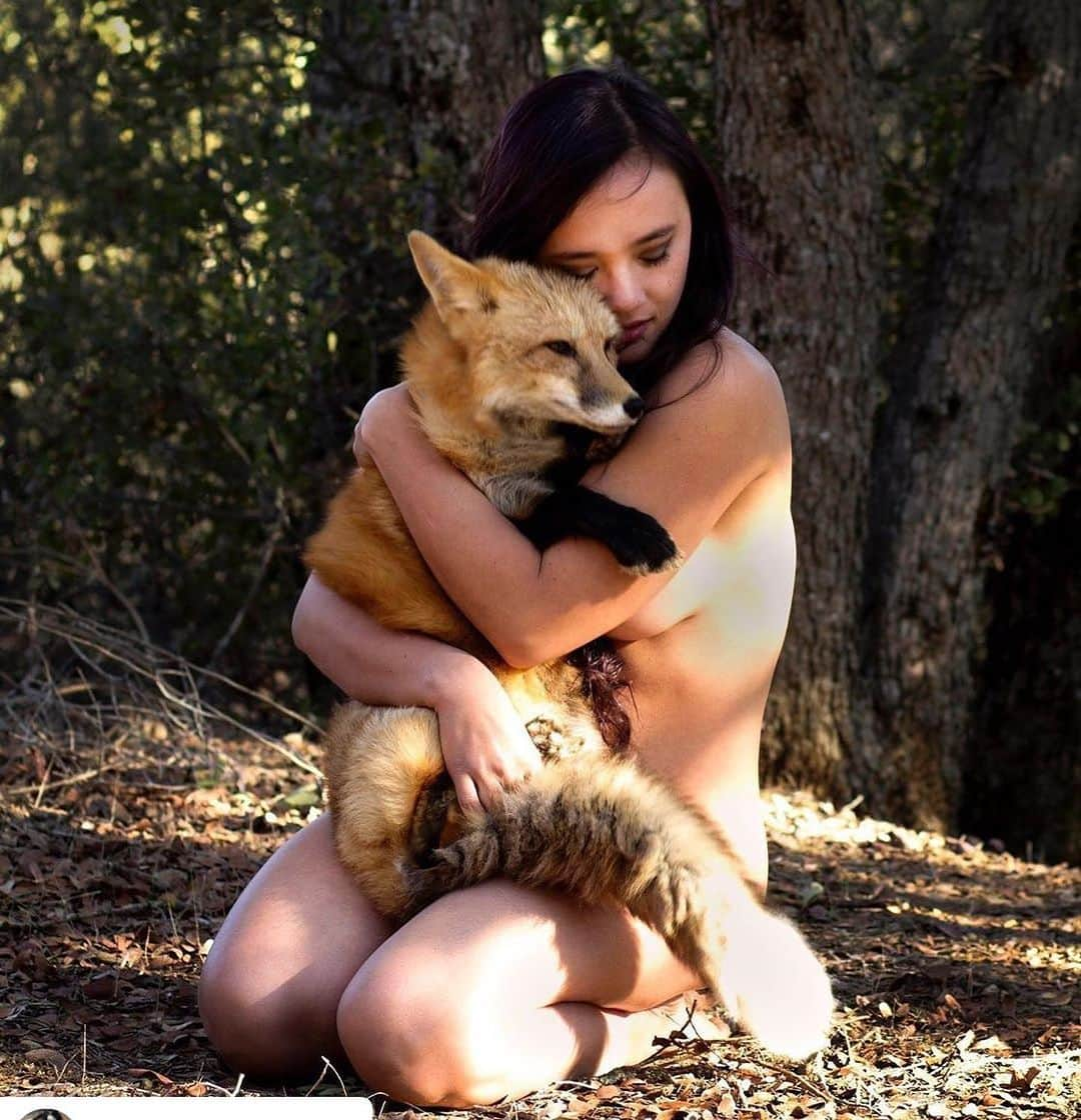 Rylaiさんのインスタグラム写真 - (RylaiInstagram)「Being completely vulnerable with an animal can sometimes be so much easier than with a human... the trust, the respect, the innocence in the connection is deeply embedded in the human-Canid bond.... . . 📷 @catharticphotos  Model: @raven_lynette  Fox: Viktor, #jabcecc Ambassador . As the weekend comes to an end, we can share that we had a fabulous volunteer day!! Sasha is a new volunteer and spent the weekend with us helping organize and move things!! We also had the pleasure of meeting another new volunteer @taylorthe5310 - he rocked the weed whacker and trimmer.... our little 5’ friend @missnvintl2019 made a chainsaw her b**ch.... her boyfriend John helped her clear some trees and brush!! Shane had deck duty... and between him, Dave and Don.... that deck is gonna be fabulous!!!! I can’t share my video, as I want these amazing Canid murals by @maxwellcam To be a surprise!!!! . The Grand Opening is only about 5 weeks away!! We still have some Photoshoots available with the foxes and wolf Ambassadors (clothed preferred :)!! We also have some limited VIP Gala tickets available and the General admission tickets!! It is going to be such an amazing event!! So many kick butt Sponsor!!! @cutwaterspirits @lostabbey @parcelsandbliss @julianbeerco @_.stephssweets._ @sandiegosustainablechef . We still need Sponsorship for non alcoholic beverages and silent auction items!! . Want to volunteer?? We can use your help making the center a beautiful place!! . Enjoy the rest of your Sunday and slay the week!!! . #nakedphotoshoots #photoshoots #fox #foxencounters #fromrussiawithlove #weeds #deck #chainsaw #landscaping #pavers #buildingthefoundationforhealing #redfox #foxesofig #foxesofinstagram #supportlocal #sponsor #nonprofit #donate #gala #fundraiser」8月26日 9時59分 - jabcecc