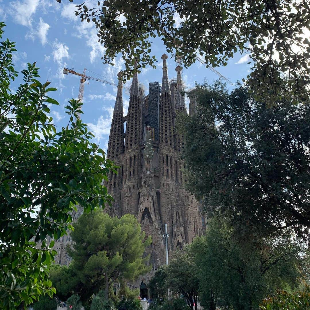 大塚良子さんのインスタグラム写真 - (大塚良子Instagram)「.今回グエル公園が有料化したことを知らず最終日だったので諦めたんだけど同じくビックリしたのがサグラダファミリアへチケットを買わずに行ったら当日券が既に買えず入れなかったこと。ちゃんと調べて行かなきゃですね。サグラダファミリアは目の前の公園の池のほとりか眺めるのが好き  #happybirthday #mylittlebaby #girl #barcelona #katalunya🇪🇸 #spain #holiday #summer ﻿#monserrate  #monjuic #familytrip」8月26日 10時14分 - ryokokonami