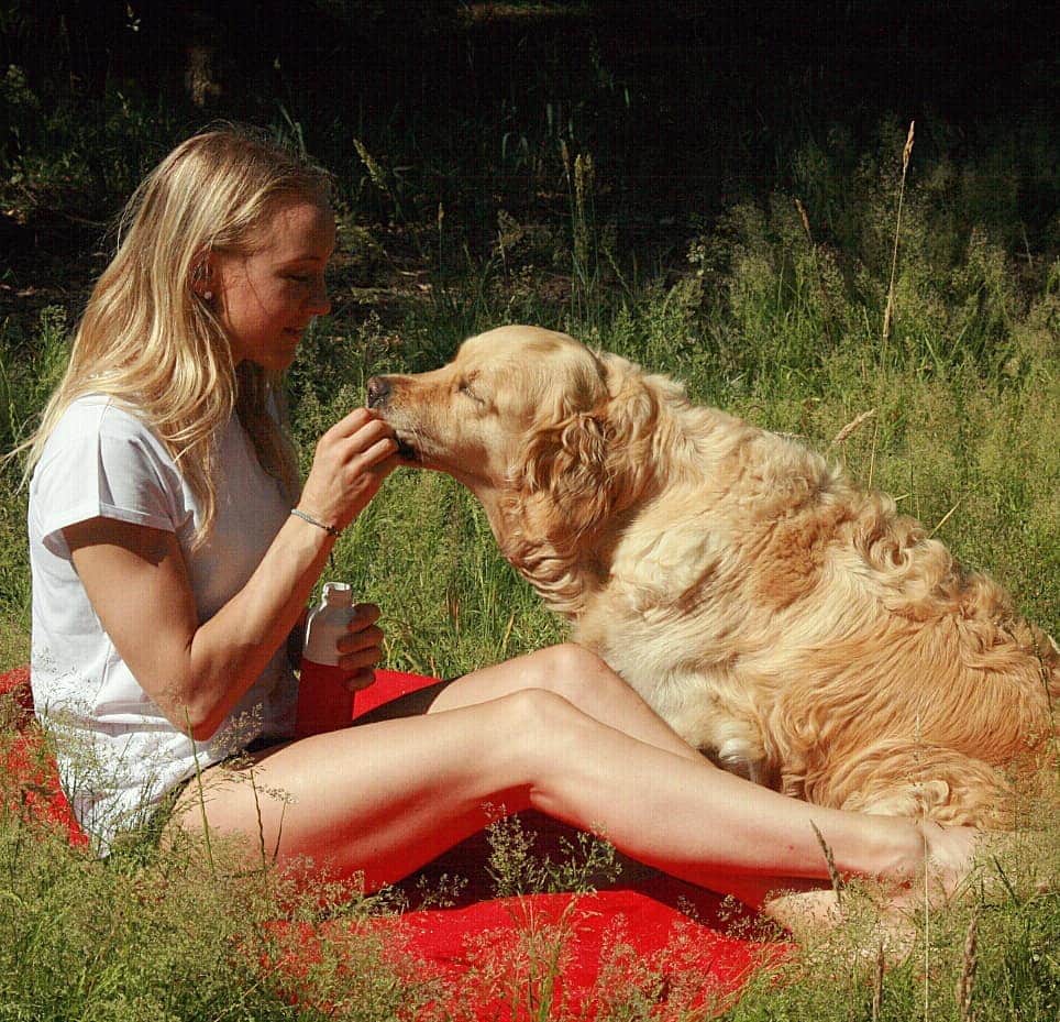 リーケ・ウェイファースのインスタグラム：「Sharing is caring ♡♡ Lekker van de zon genoten? 1 van mijn favoriete plekjes om een weekendje tot rust te komen is toch wel lekker 'thuis' in Twente. Het bos in met Djoya is voor mij rechargen! Waar laad jij je het liefst op met dit mooie weer? Bos 🌳strand⛱  bootje⛵ tuin 🏡 of..? Let me know! ❤ #mijnzwitserlevengevoel」