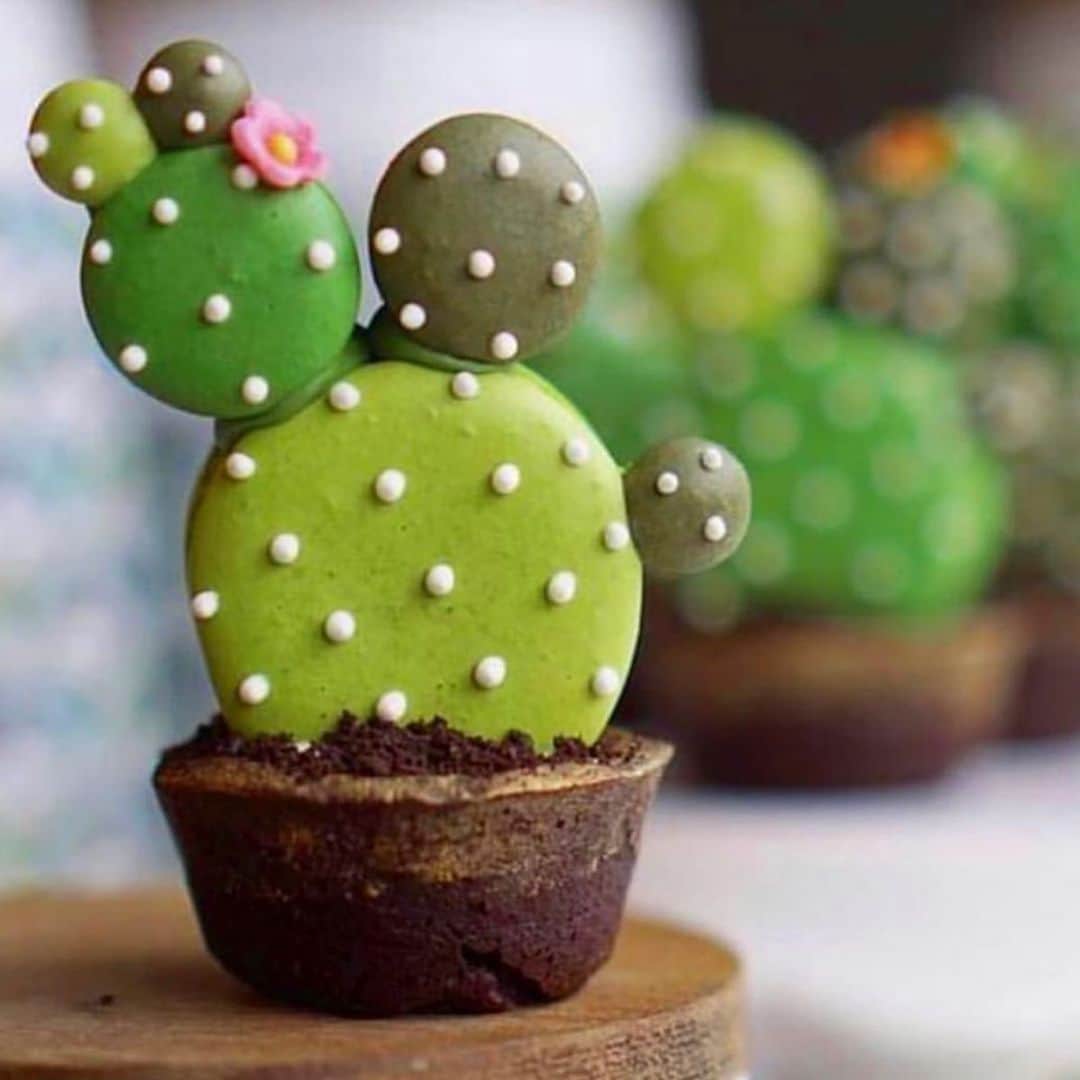 The Louunのインスタグラム：「How cute !🌵 Tag your friends and follow @namoo_la #cactus #macarons」