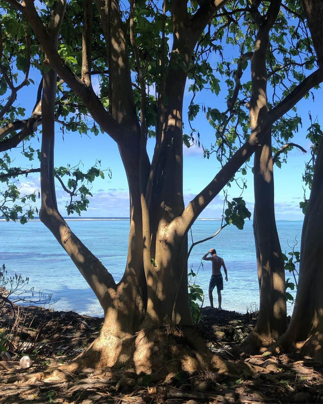 ドミニク・サドクさんのインスタグラム写真 - (ドミニク・サドクInstagram)「went on a quest to find Nemo in French Polynesia」8月26日 3時52分 - dominiksadoch