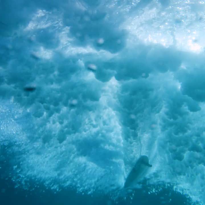 のインスタグラム：「Teahupo’o」