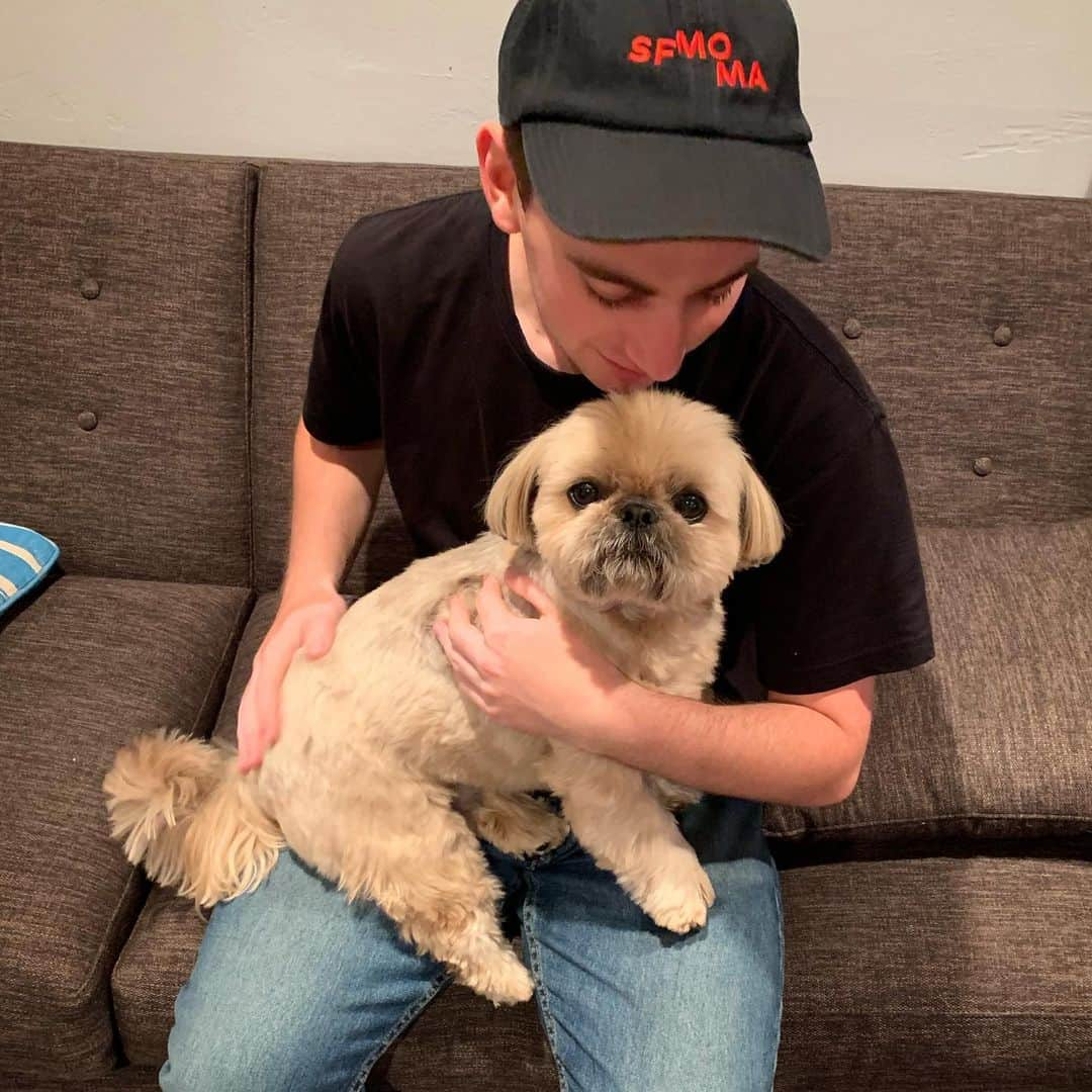 Dougie the Shih Tzuさんのインスタグラム写真 - (Dougie the Shih TzuInstagram)「One less person to get scratchies from — the college kid is heading back to Chapman University. 😕」8月26日 4時13分 - dailydougie