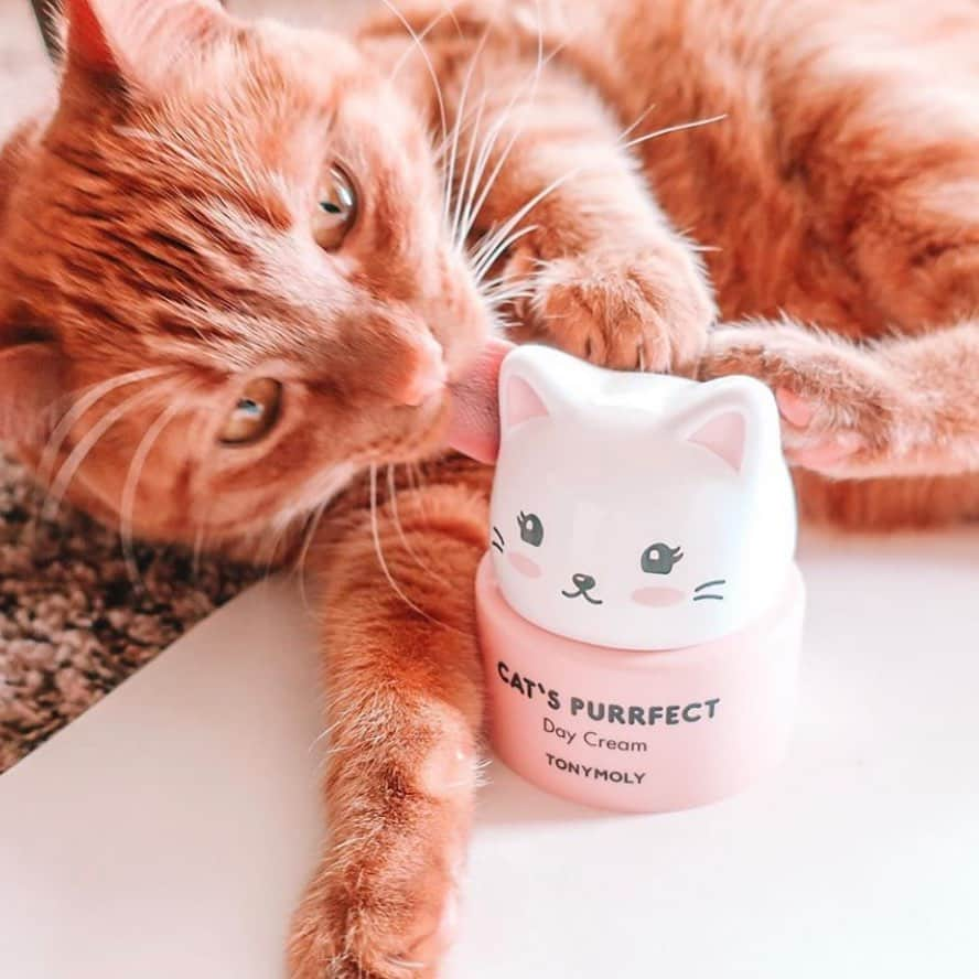 TONYMOLY USA Officialさんのインスタグラム写真 - (TONYMOLY USA OfficialInstagram)「Our hearts actually fluttered when we saw this pic by @skincare.chaos 😻😻 We love seeing your pics! Remember to share your fave products & hauls with us by tagging us & #TONYMOLYnMe ❤️💕 #xoxoTM #ultabeauty」8月26日 4時38分 - tonymoly.us_official