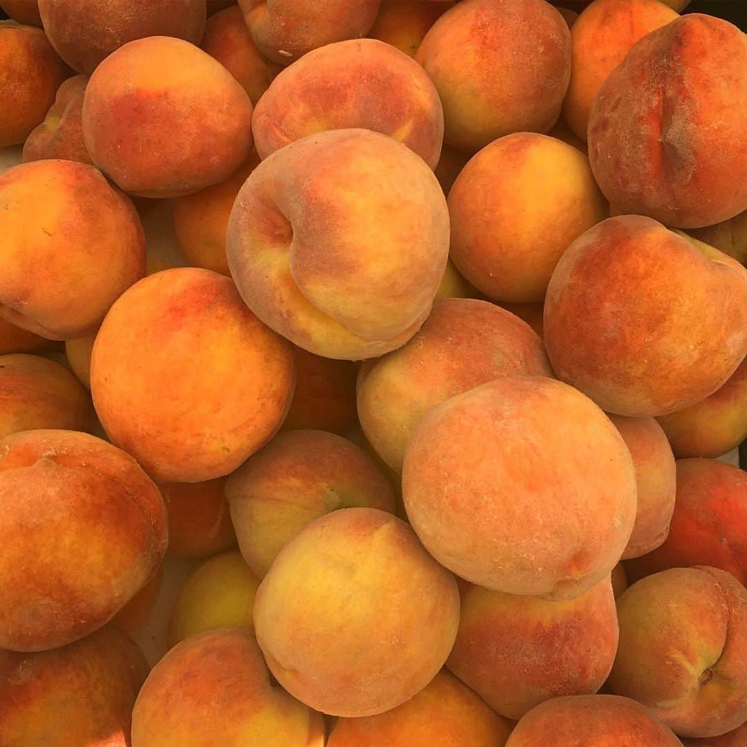 カミーラ・ベルさんのインスタグラム写真 - (カミーラ・ベルInstagram)「🍑 #felizdomingo #feira #pessego #happysunday #peaches #farmersmarket」8月26日 5時30分 - camillabelle
