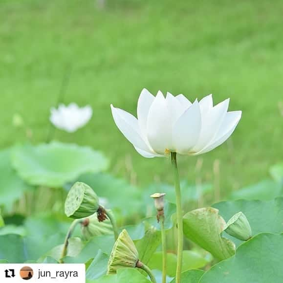 東京カメラガールズのインスタグラム