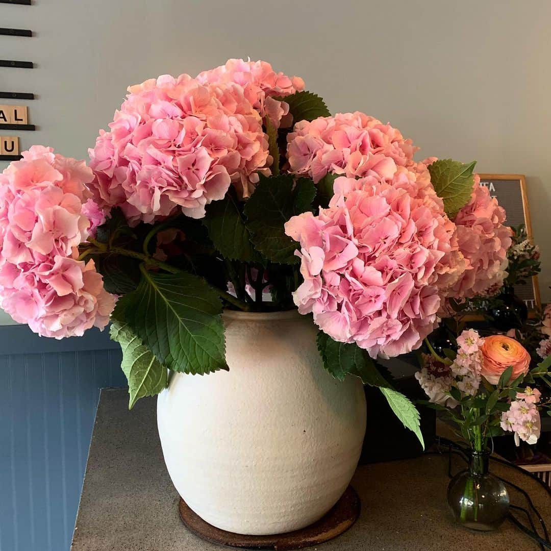 ナネットレポーのインスタグラム：「Posies at Rosie’s and Rose’ of course #amagansett #therealnanette」