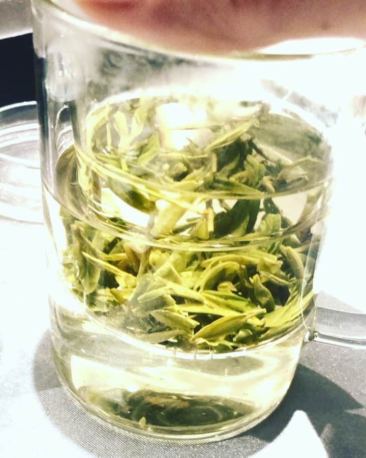 松阪ゆうきのインスタグラム：「昨日のランチをいただいたお店の、 このガラスのティーポット？カップが いいなあ💕と思い。  欲しかったけど、 探す時間が無かった。  下にすり込みみたいなのが入ってて、葉っぱは流れでないし サイズも凄く良かった！  誰か行く事あれば、 見つけたら教えてください＾＾ たぶん 日本円で3000円くらいらしいけど。  台湾万歳🙌  #台湾 #ティーポット #グラス #台湾茶 #美味しい #松阪ゆうき」