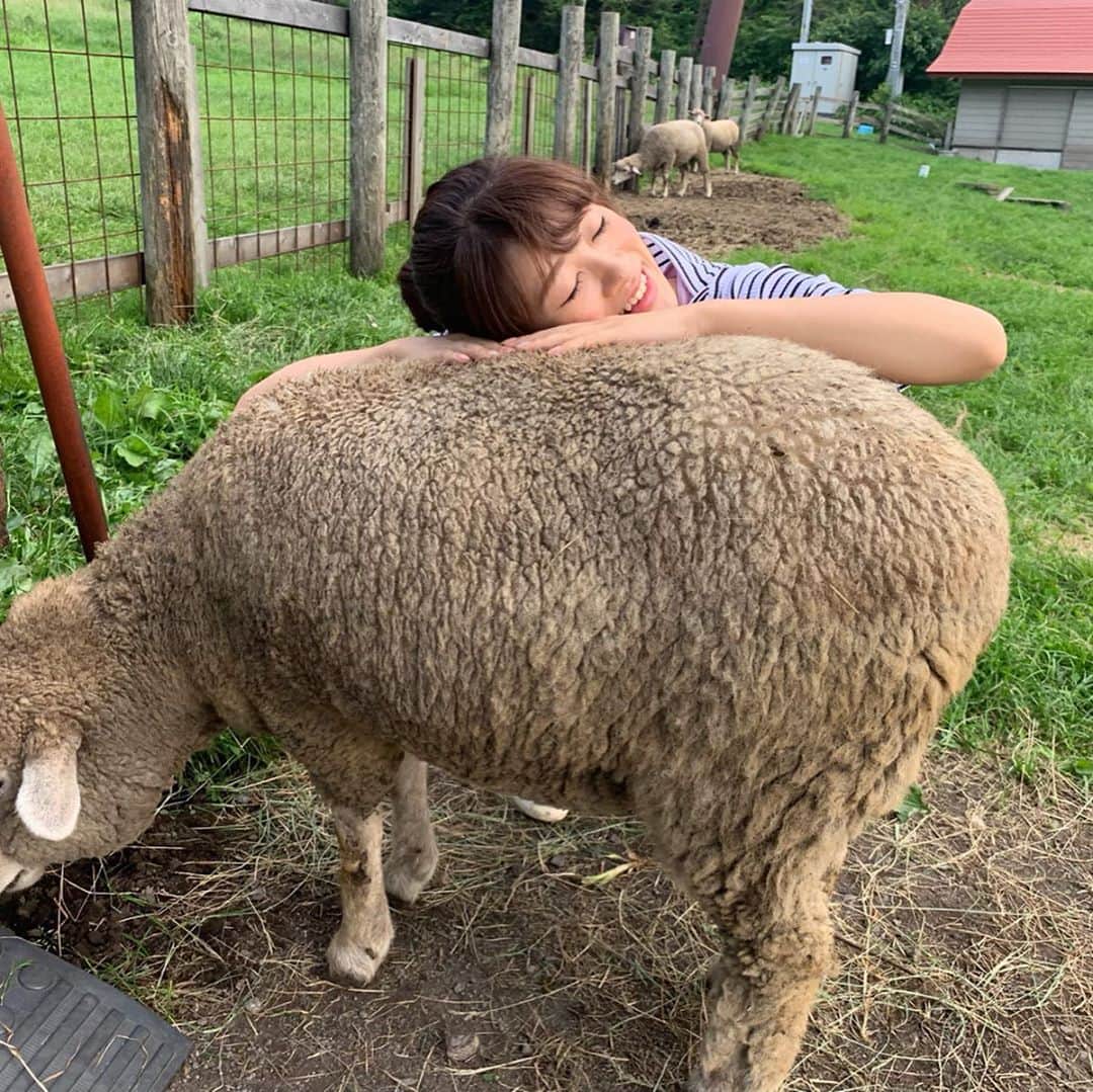 小宮山瑞季さんのインスタグラム写真 - (小宮山瑞季Instagram)「以前ご紹介した蓼科ふれあい牧場のあいどる、羊のゆずちゃん🐑❤ かわいすぎて、くっついてしまいました！！！ これこそウール100％の枕みたい🐑💤💭 ・ 他にもかわいい動物がたくさん！ 立科町に遊びに行ってみてね～🙌💕 ・ #立科町 #蓼科ふれあい牧場 #羊 #sheep #うさぎ #rabbit #ヤギ #goat #枕 #ウール #あたたかい #動物 #animal #牧場 #写真 #カメラ #写真女子 #動物に癒されたい #疲れモード #遊びたい #ここがスゴイぞ #白樺高原 #youtube #見てみてね #長野放送 #アナウンサー #小宮山瑞季 #今日のこみぃ」8月26日 19時20分 - komiyama_mizuki