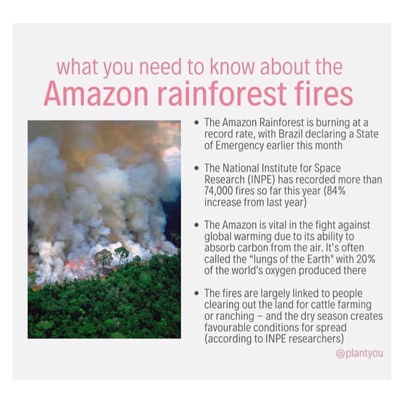 アリシア・デブナム・キャリーのインスタグラム：「I haven’t been able to stop thinking about this tragedy. My heart breaks for what we’re doing to our planet. I’ve noticed it’s created a continual undercurrent of defeat and hopelessness in my day to day, as I’m sure many of you can relate to. Sometimes it’s hard to find the energy to stay positive but I truly do believe in the power of small steps.  I just donated to the @earthalliance where %100 of the proceeds go to fighting the Amazon fires and  @rainforestalliance - I urge you to donate too! (Link in bio) It’s very easy to do and goes towards protecting and preserving one of Earths most important ecosystems. 🌿🌱✨ Over the years I’ve also embraced habits to support a more sustainable future, most of which are really easy to adopt. Whether it’s eating less meat and becoming more plant based (as most land is cleared for farming and meat production), being conscious and productive about individual waste output or using sustainable products.  Every little bit counts.  We only have one planet and the survival of the human race depends on it. 🌿🌱 A little change can make a big difference. ♥️」