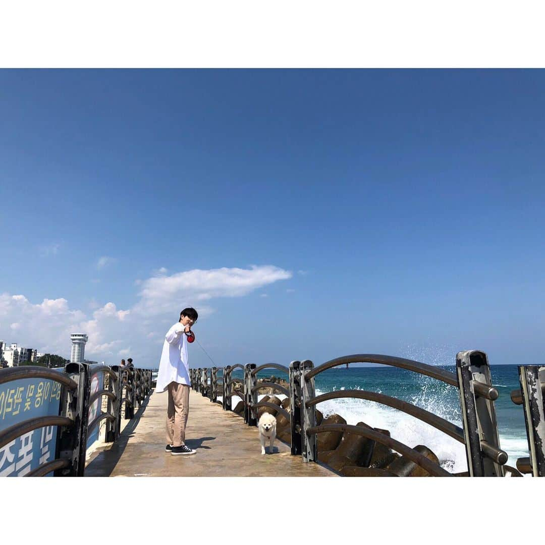 IN2ITさんのインスタグラム写真 - (IN2ITInstagram)「가족&짹 (with.puppy) 두 번째 여행 강릉 🌊🌊🌊 ㅤㅤ #IN2IT #IN2U #인투잇 #인투유 #연태 #아이젝 #Yeontae #Isaac #강릉 #바다 #파도 #여행 #강문해변 #해변 #강아지 #Puppy #짹태」8月26日 11時18分 - official_in2it