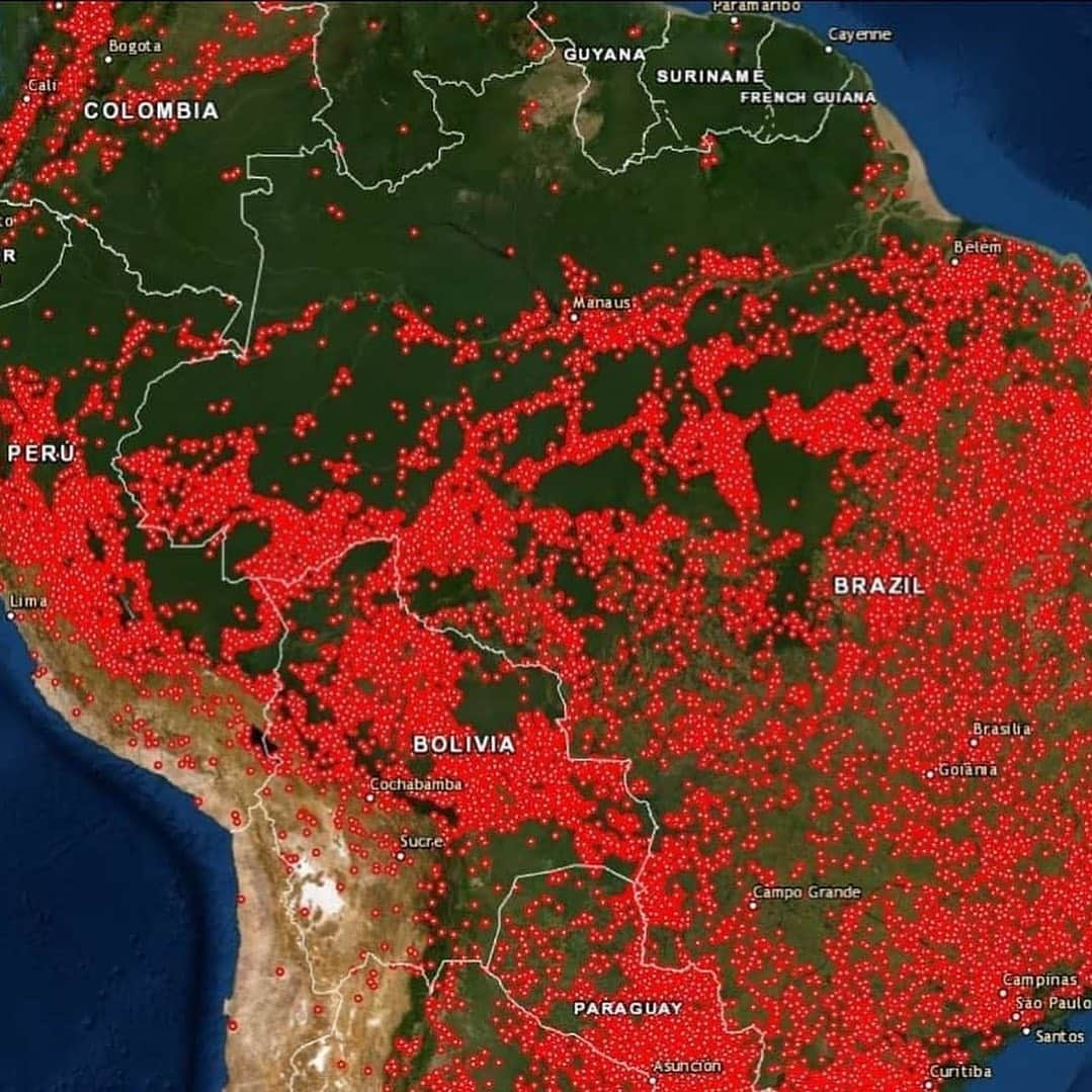 ティモシー・サイクスさんのインスタグラム写真 - (ティモシー・サイクスInstagram)「Repost from @karmagawa Here’s a map of every fire in South America right now…it’s not just Brazil, but also Bolivia, Peru, Colombia and Paraguay too! And there are also still wildfires burning in Siberia, Indonesia, Alaska and in so many more forests all over the world. The one piece of good news is that thanks to this crisis going viral on social media and finally being featured in the press, Brazilian president Jair Bolsonaro has been forced to cave to international pressure and has deployed 44,000 troops from the country’s military to fight the Amazon fires. Unfortunately, he’s not announcing any concrete measures to fight deforestation and has actually worked to roll back federal rainforest protections in pursuit of a pro-business agenda, and has been openly dismissive of the rights of the peoples who live inside the forest. The future of Brazil and of life everywhere on the planet is being destroyed as too many people sit back and do nothing! Our forests, which are vital in keeping our climate stable and producing oxygen for us to breathe, are being destroyed faster than at any other time in history. We're already in a #climateemergency so we cannot afford to make the situation any worse! The fires that are devastating the Amazon are also destroying Brazil's image internationally. Even the agribusiness sectors are already admitting that the government's anti-environmental policies can bring economic damage. Please keep sharing these images and posts to #savetheamazon with your social media followers and keep tagging people, celebrities and news media that need to see it as it’s crucial that we all help by spreading awareness and keeping the world’s attention focused on this urgent crisis as this is one battle we cannot afford to lose! #savetheforest #teamwork #karmagawa」8月26日 11時31分 - timothysykes