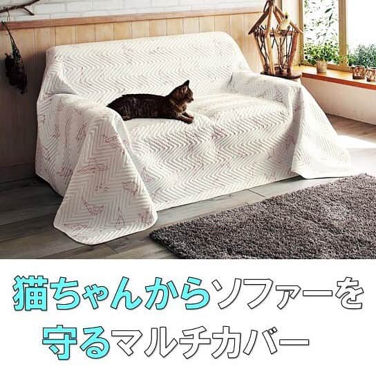 通販のセシール(cecile) のインスタグラム：「糸なしキルト仕様で爪が引っかかりにくいので猫ちゃんにもソファーにもやさしいマルチカバー。 猫のかわいい柄が描かれたマルチカバーは、リバーシブルで気分によって変えるのもオススメ！ 糸なしキルトなのでホコリが出にくく、毛も絡みにくいのでお手入れ簡単です。 自宅で洗濯出来るので毎日清潔に使えるのもうれしいポイント！ ◼️マルチカバー（爪が引っ掛からないタイプ） ・品番:WN-574 ・価格:2,797円～  詳しくはプロフィール掲載のURLからセシールオンラインショップへ♪ 気になる商品の品番を検索してください。 #猫 #猫柄 #爪がひっかからない #マルチカバー #ホコリがでにくいカバー #ソファーカバー #ペットと暮らす #便利グッズ #ネコ #ねこ #CECILE #セシール」