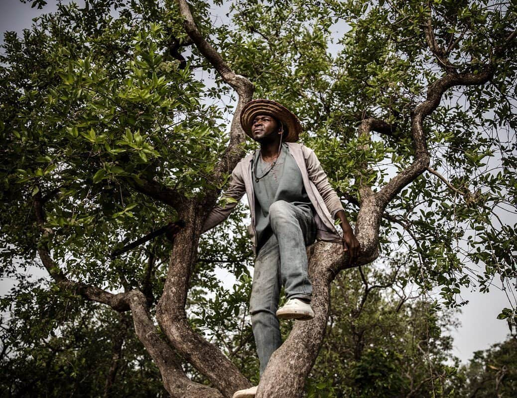 AFP通信さんのインスタグラム写真 - (AFP通信Instagram)「#AFPrepost 📷 @luistatophoto - 30-year-old herdsman Issa Ibrahim is a Fulani man belonging to the Kofogi clan and he is the father of one. In a regular day, Issa milks his cows and goes grazing with the cattle from early morning before spending some time with his son. After that, he goes to the market in Kachia Reserve, Kaduna State where he drives his motorbike, meets his friends or visits his favorite barbershop as any other man of his age. Issa came to Kachia Grazing Reserve after the post electoral violence in Nigeria in 2001 when his village was destroyed and some of his cattle was killed as part of the attacks targeting Fulani people. He belongs to a family of traditional Fulani seminomadic pastoralists and now they are settled in Kachia, an area set aside for the use of the Fulani pastoralists with the goal of providing land for grazing and permanent water as a way to avoid conflict.  Earlier this year I had the opportunity of spending some time in Nigeria working in a multimedia special investigation by @afpphoto about the Fulani, one of the last great nomadic peoples of the planet, a community of some 35 million people scattered across 15 countries in West Africa, from the Sahel down to the lush rainforests. Until a few years ago, the Fulani, also called the Peul, pursued their ancient lifestyle largely unnoticed by the rest of the world. All that has changed. Conflicts over land, droughts and ecosystem variations due to climate change and other challenges are threatening the Fulani lifestyle creating a crisis of interests and identity.  During the next few weeks, I’ll be sharing some images from this project already published in several platforms by AFP News Agency.  #fulani #peul #nomadicjourney #nomadic #nomads #nigeria #land #cattle #pastoralism #pastoralist #nomad #conflict #everydaysocialjustice #westafrica #cows #nature #bush #kaduna #sokoto #fulanipeople #reportage #reportagespotlight #photography #documentaryphotography #photojournalism #picoftheday #instagram #instadaily」8月26日 12時27分 - afpphoto