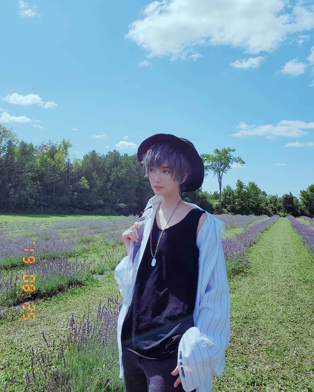 ひかりんさんのインスタグラム写真 - (ひかりんInstagram)「Summer Field Lavender ☀️ Photo | @lostdumplings #lavender #kai」8月26日 12時36分 - __hikarin
