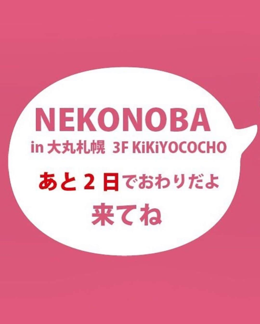 mayumiさんのインスタグラム写真 - (mayumiInstagram)「20190826 ✩ あと2日！ですよー NEKONOBA in 大丸札幌店 ． 24日に行ってきました！ エスカレーターの前で他の方に邪魔って思われたかもだけど動画撮ったり写真撮ったり ドリーがモデルのルームシューズも店頭にあるのを初めて観た😍 @hug2_nyan  @neko_magazine with ． #neko_magazine #ねこ #猫 #ネコ #catstagram #cat #ねこマガジン #NEKONOBA #nyasa #kozacla #大丸 #札幌 #大丸札幌 #kikiyococho」8月26日 12時39分 - imuyamotas