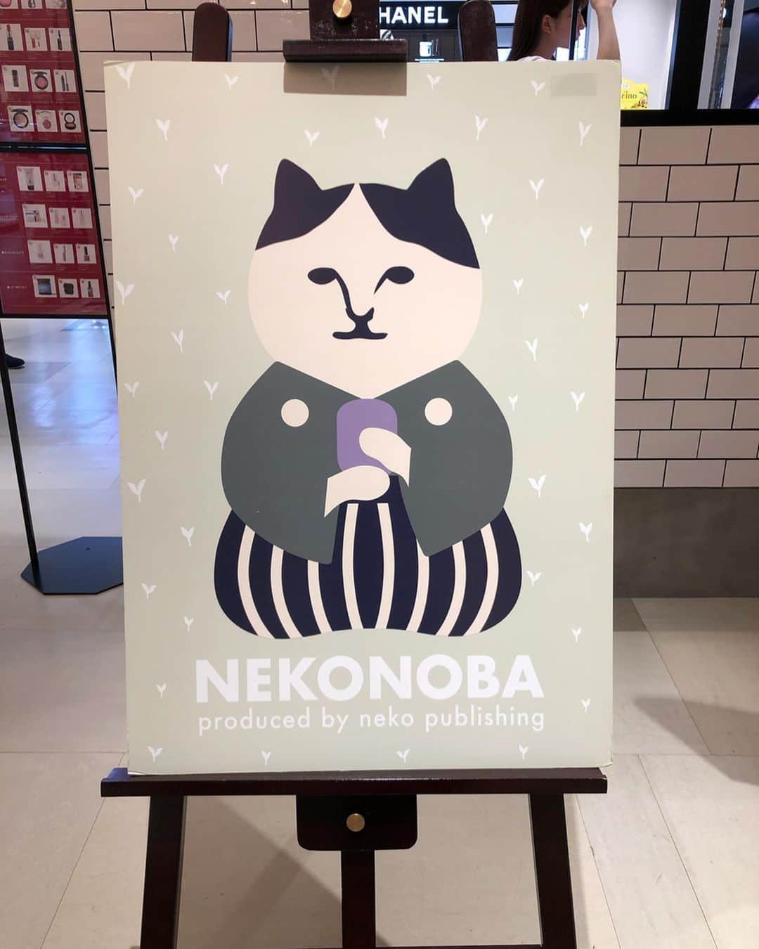 mayumiさんのインスタグラム写真 - (mayumiInstagram)「20190826 ✩ あと2日！ですよー NEKONOBA in 大丸札幌店 ． 24日に行ってきました！ エスカレーターの前で他の方に邪魔って思われたかもだけど動画撮ったり写真撮ったり ドリーがモデルのルームシューズも店頭にあるのを初めて観た😍 @hug2_nyan  @neko_magazine with ． #neko_magazine #ねこ #猫 #ネコ #catstagram #cat #ねこマガジン #NEKONOBA #nyasa #kozacla #大丸 #札幌 #大丸札幌 #kikiyococho」8月26日 12時39分 - imuyamotas