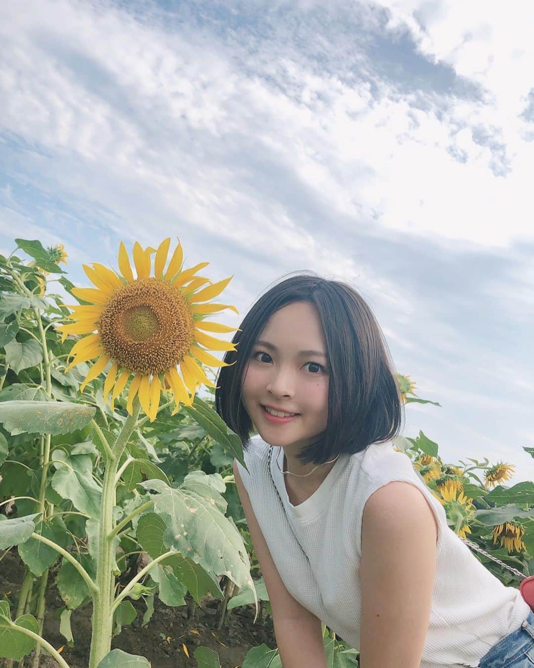 のインスタグラム：「なつのおもいで🌻 #淡路島  #イングランドの丘」