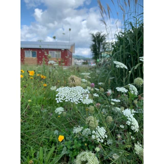 中野英雄さんのインスタグラム写真 - (中野英雄Instagram)「朝から北海道にて撮影しています‼️ 素晴らしい景色に囲まれて  気分最高です  #リスタート #品川組 #instagood #japan  #北海道 #下川町 #enjoy  #happy #movie」8月26日 13時59分 - hideo_nakano