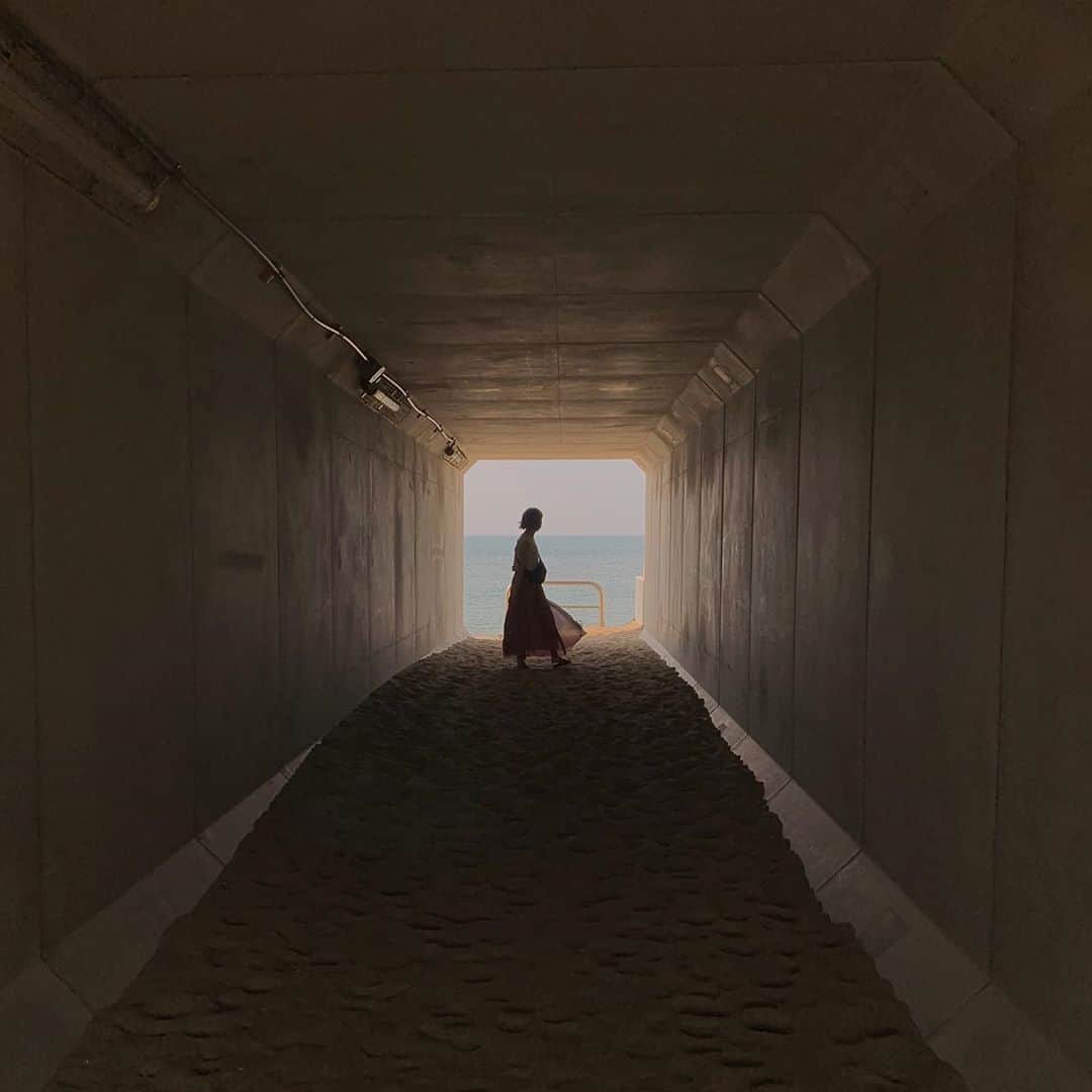 山田野絵さんのインスタグラム写真 - (山田野絵Instagram)「最後のトンネルを抜ければ近づく美しいあの街  #yamadanoe #関屋浜  #Maxとき315号」8月26日 15時03分 - noe.1007